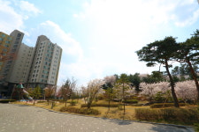 좋은집광교호반공인중개사사무소