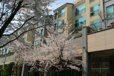 좋은집광교호반공인중개사사무소