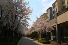 좋은집광교호반공인중개사사무소