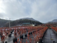 베리골드팜