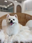 몽앤미