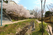 좋은집광교호반공인중개사사무소