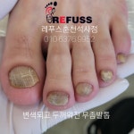 레푸스 춘천석사점