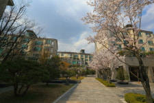 좋은집광교호반공인중개사사무소