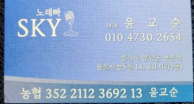 스카이노래빠