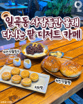 안데스