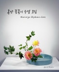 키레이플라워