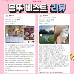 몽드드뚜뚜[애견카페, 애견운동장]