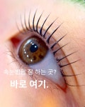유한회사 다봄 | 다봄