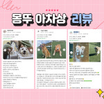 몽드드뚜뚜[애견카페, 애견운동장]