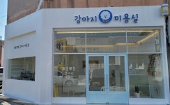 뽀송뽀송강아지미용실