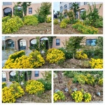 고은관광농원휴양콘도미니엄