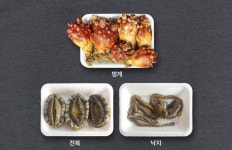 해변마을