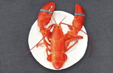 해변마을