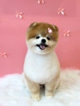 귀엽꾸멍