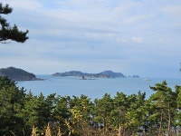 파도리아치내펜션