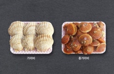 해변마을