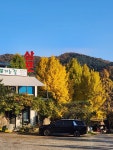 머물다 삼포