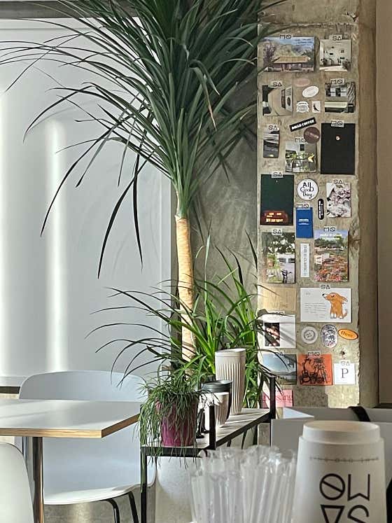 SAMO COFFEE 사진