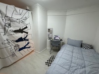 스테이에셀 안양금정역점