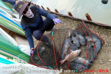 대부도바다낚시터