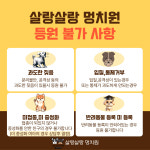 살랑살랑 멍치원 애견유치원