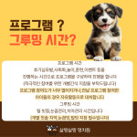 살랑살랑 멍치원 애견유치원