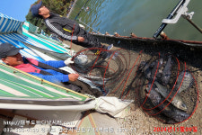 대부도바다낚시터