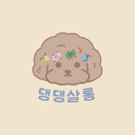 댕댕살롱