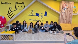 고양이카페 아이캣유