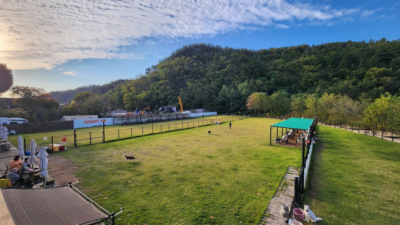 도기온