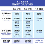 이지드라이빙