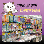 캣마트 부산점