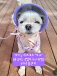 오남샤인24시셀프세차타운