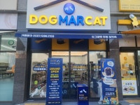 도그마캣 부평청천점