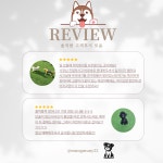 멍머니 애견호텔 , 애견유치원