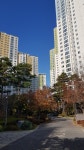 월드공인중개사사무소