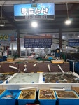 독도수산