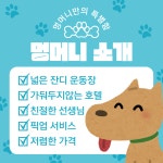 멍머니 애견호텔 , 애견유치원