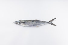 강북수산 수유재래시장점