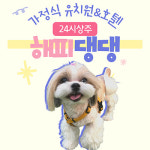 해피댕댕페인팅