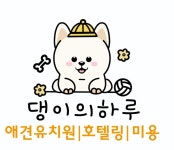 댕이의하루,애견유치원 애견호텔