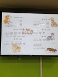 펫동물병원