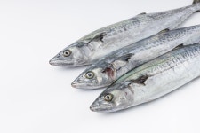 강북수산 수유재래시장점