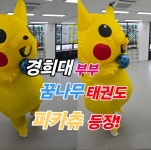 경희대꿈나무태권도