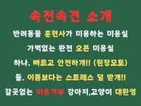 속전속견