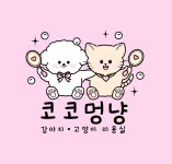 코코멍냥