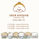 오독오독반려견유치원