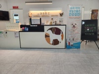 베스트동물병원