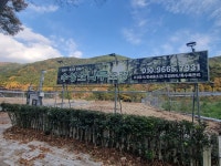 수성소나무조경